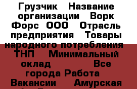 Грузчик › Название организации ­ Ворк Форс, ООО › Отрасль предприятия ­ Товары народного потребления (ТНП) › Минимальный оклад ­ 25 000 - Все города Работа » Вакансии   . Амурская обл.,Благовещенск г.